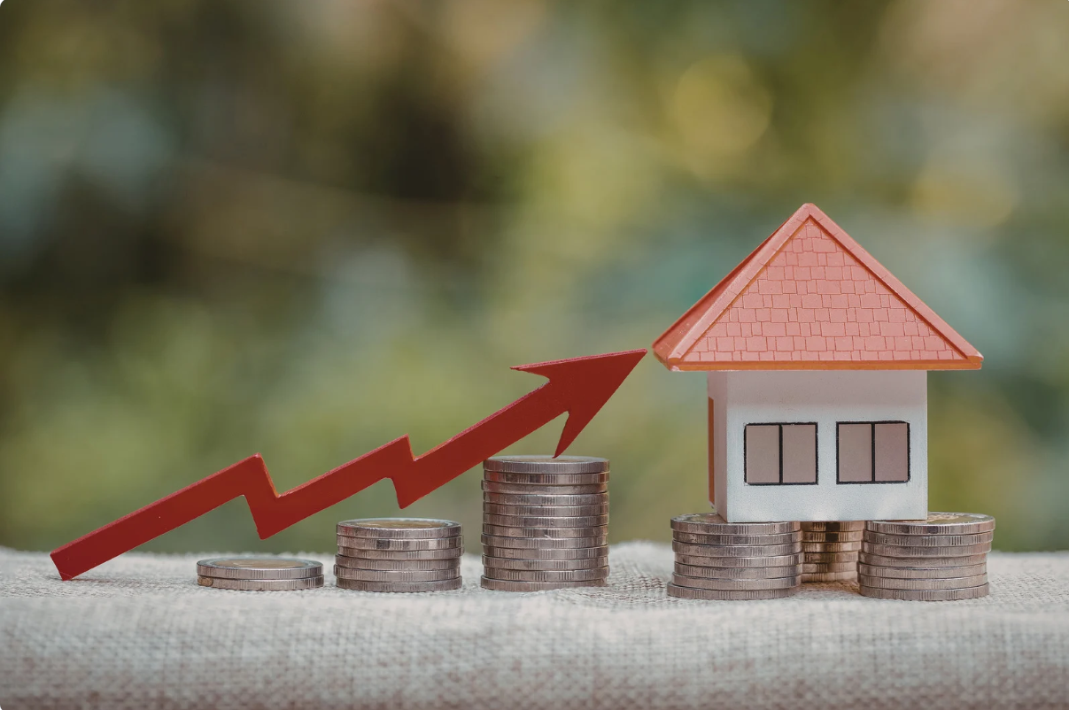 screenshot 2026 01 02 005121